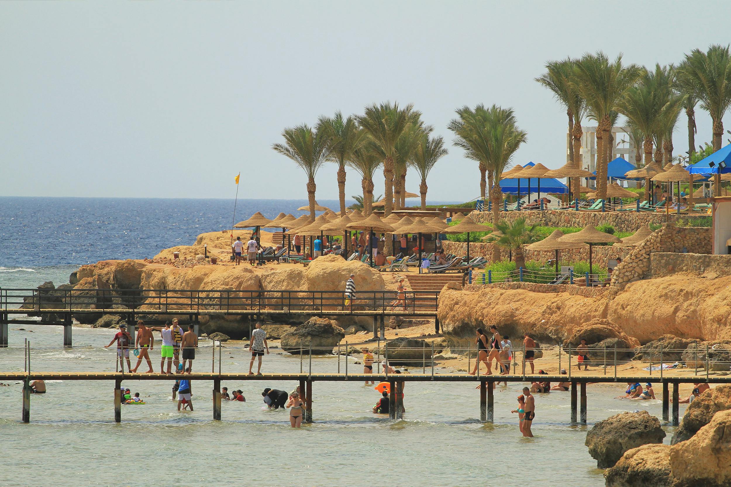 Vibrant tropical beach scene with palm trees, people enjoying the sun and sea.